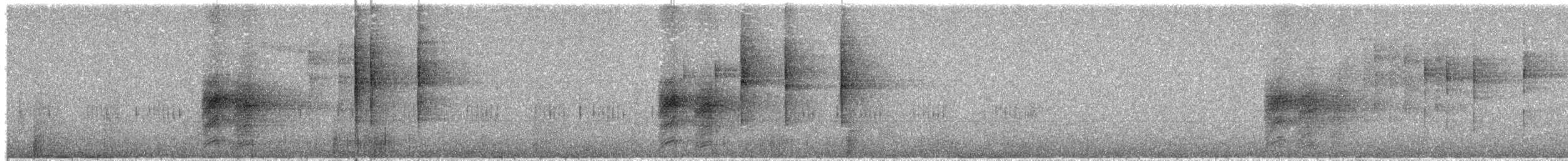 ブライスサンコウチョウ - ML623890809