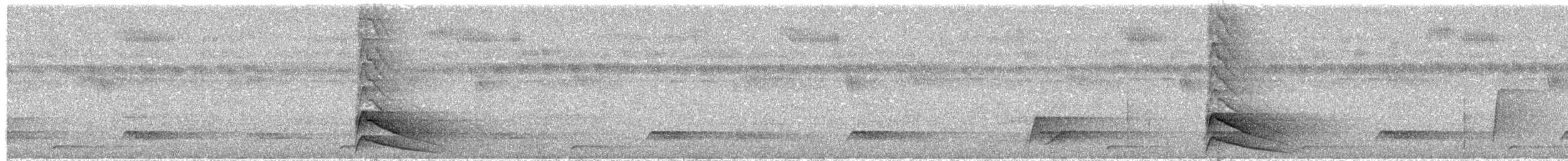 Bar-bellied Pitta - ML623890851