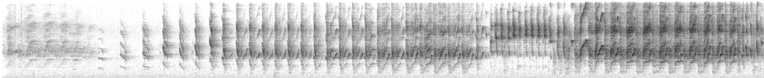 sabeltreløper - ML623891307