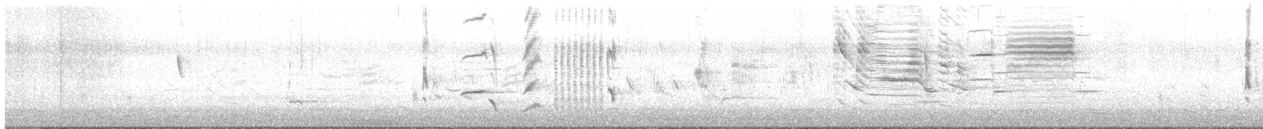 Austral Blackbird - ML623900086