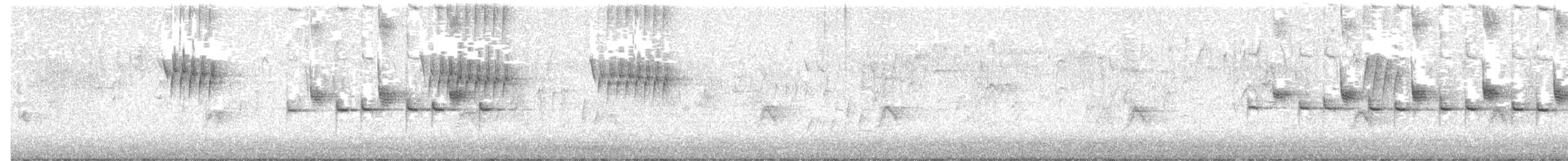 Cinciallegra - ML623900980