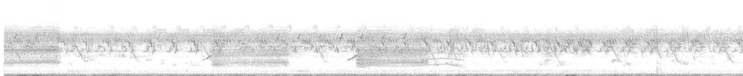 luněc šedý - ML623905469