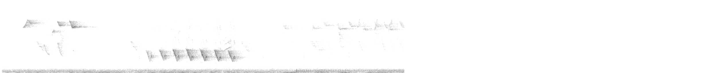Oruguero de Lesueur - ML623910682