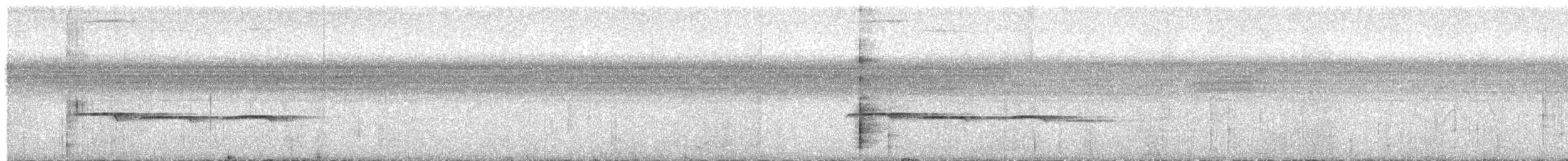 Cordillera Azul Antbird - ML623913743