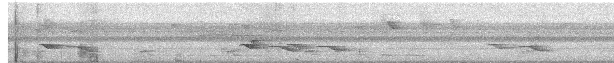 Ringed Antpipit - ML623913799