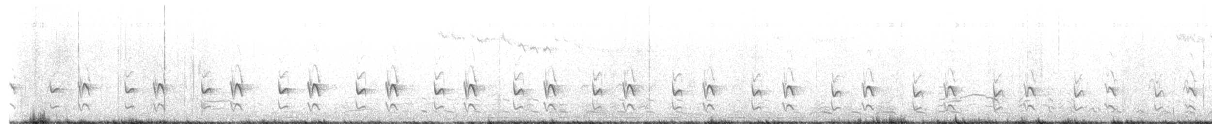 Magellanic Tapaculo - ML623917828