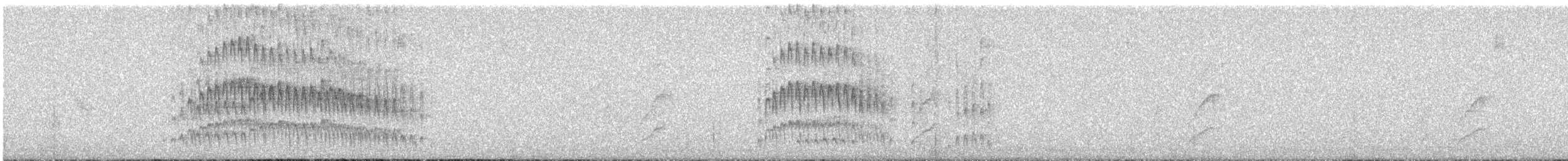 Tyranneau à sourcils blancs - ML623919619