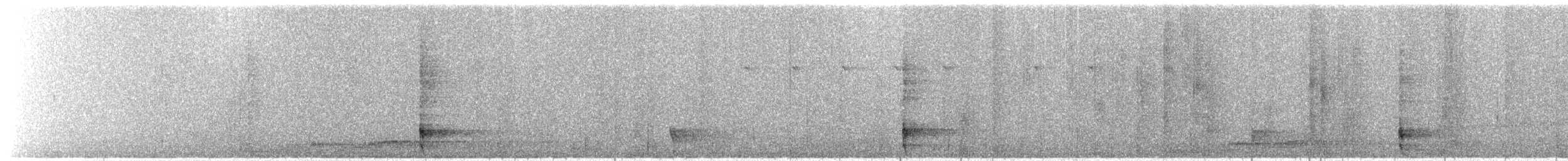 Crinkle-collared Manucode - ML623923029