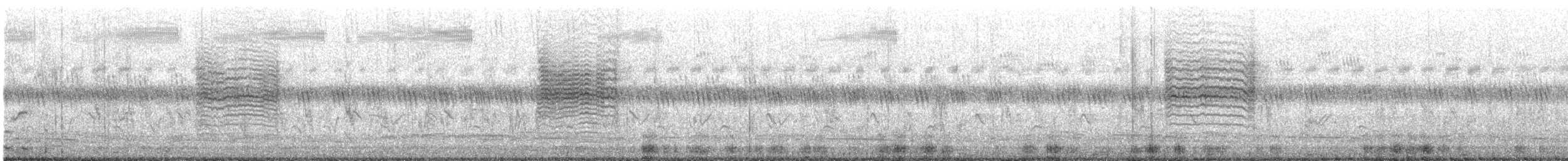 Cisticole à couronne dorée - ML623926590