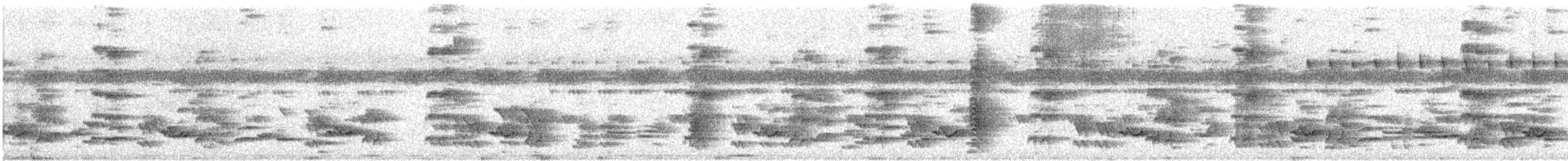 drongo vlajkový - ML623938503