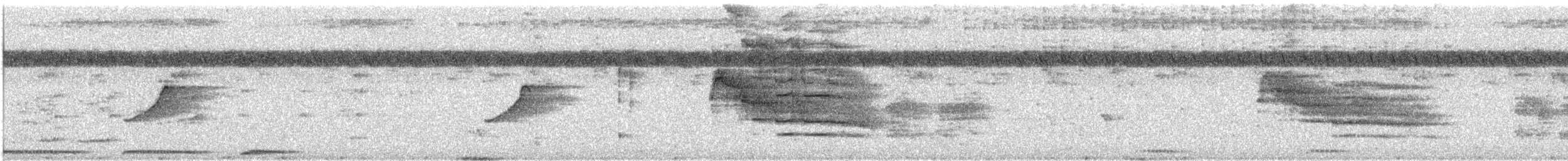 zoborožec klínoocasý - ML623938622