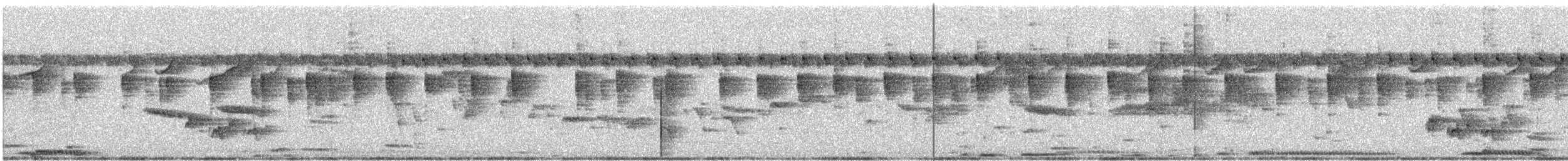 květozob křivozobý - ML623938661