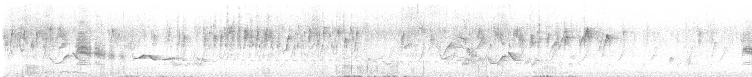 White-tailed Iora - ML623945516