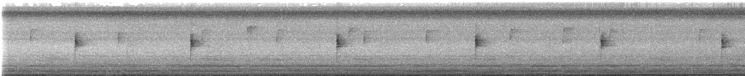 Northern Waterthrush - ML623946739