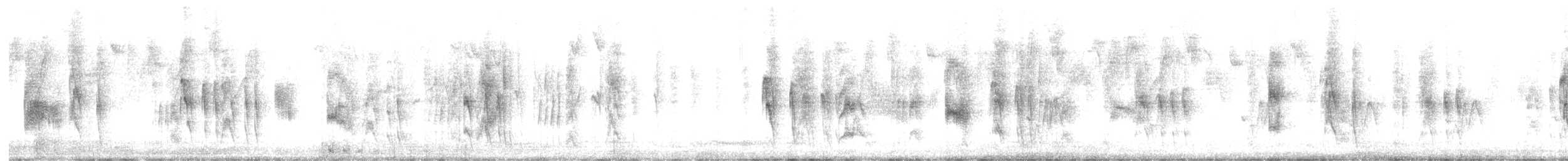 Tumbesian Tyrannulet - ML623949559