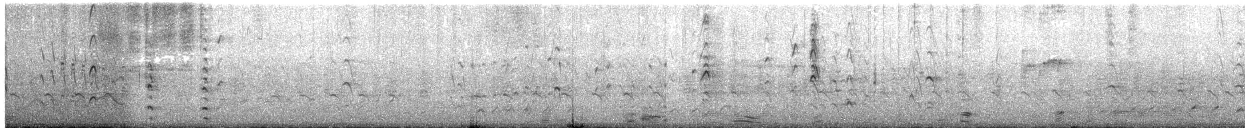 Rotschnabel-Pfeifgans - ML623959987