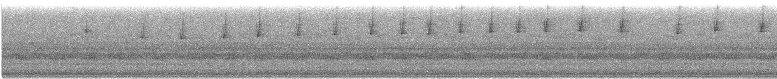 Neuweltammer, unbestimmt - ML623960072