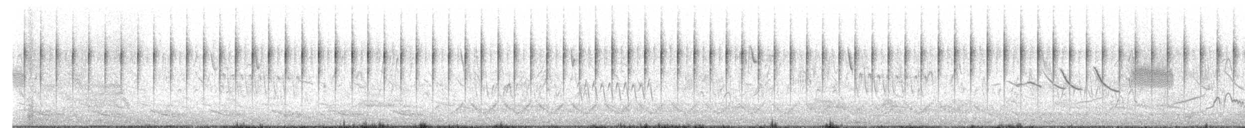 Junquero troglodyte - ML623980366