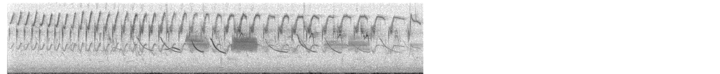 Sicale des savanes - ML623980370