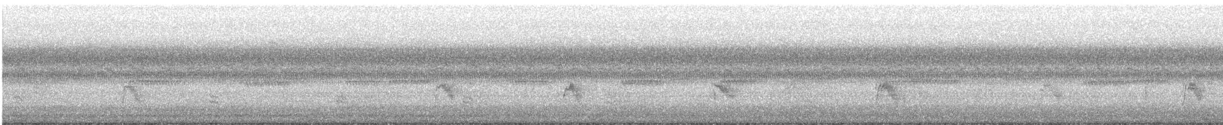 Gray-cheeked Thrush - ML623983189