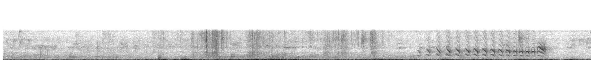 Barred Antshrike - ML623984651