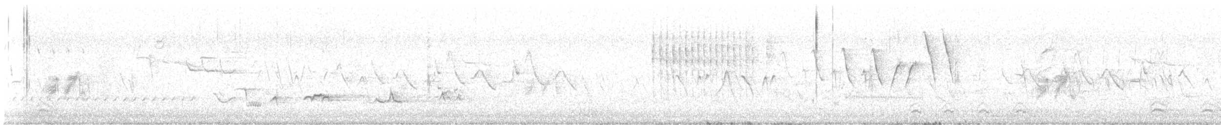 Marsh Wren (palustris Group) - ML623993677