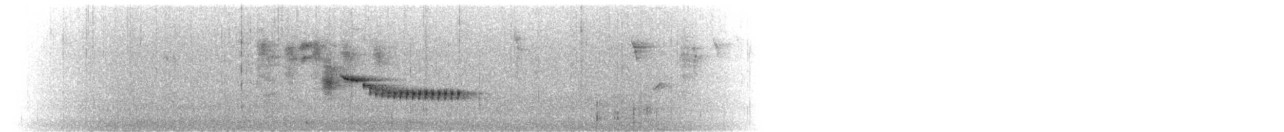 Roststirn-Dornschnabel - ML624000348