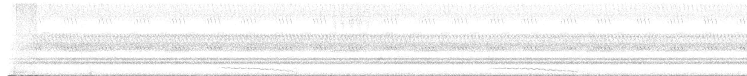 Eastern Screech-Owl - ML624007264