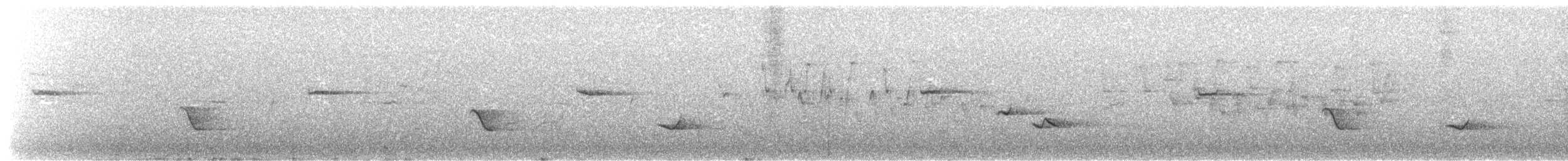 Crested Drongo (Madagascar) - ML624031190