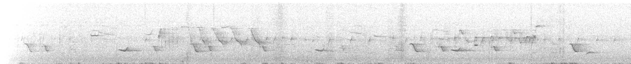 Crested Drongo (Madagascar) - ML624031191