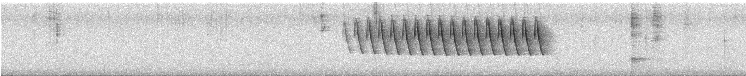 Chipping Sparrow - ML624033293