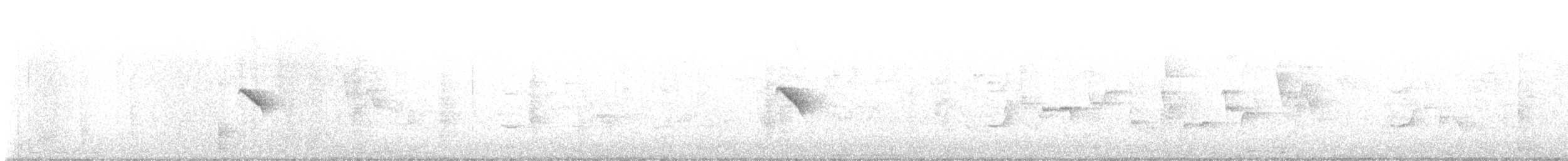 Iberian Chiffchaff - ML624037168