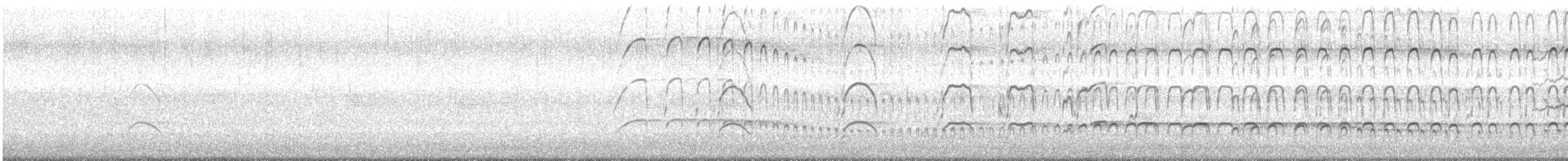 amerikasvarttjeld - ML624052367