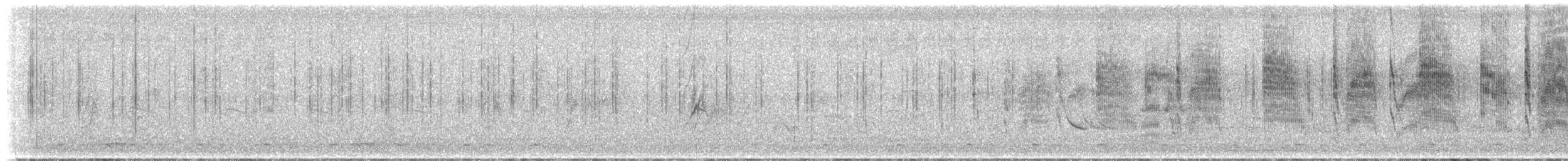 Salangane à nid blanc (germani/amechanus) - ML624065185