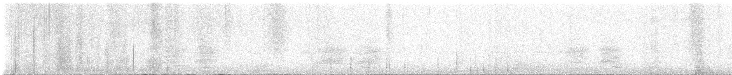 Steller's Jay - ML624065357