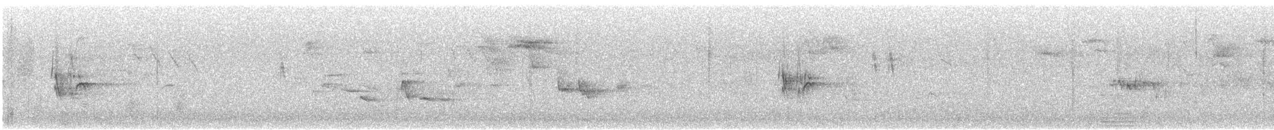 White Wagtail (White-faced) - ML624073135