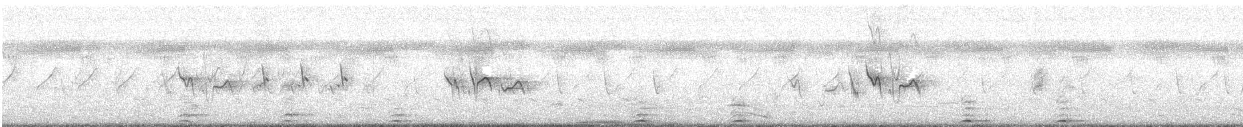 Cochevis de Malabar - ML624074788