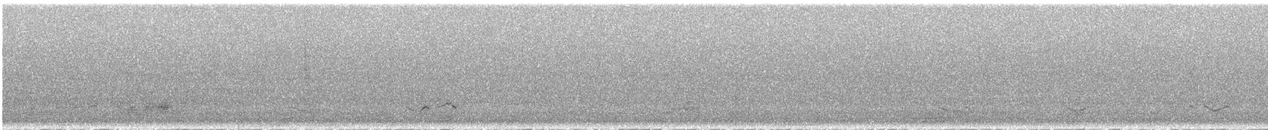 Red Knot - ML624088251