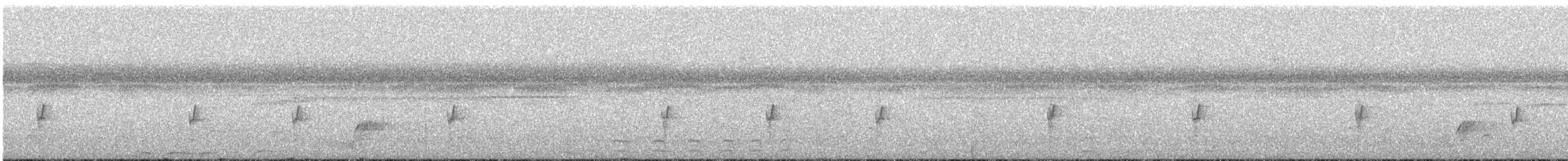 ノドジロコタイランチョウ - ML624091586