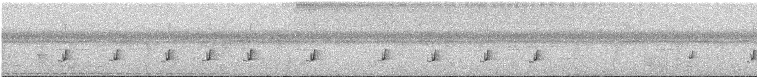 ノドジロコタイランチョウ - ML624091598