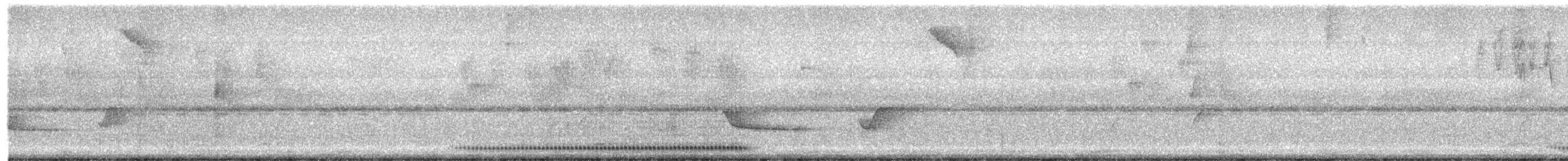 Ak Gerdanlı Tapakola - ML624114542