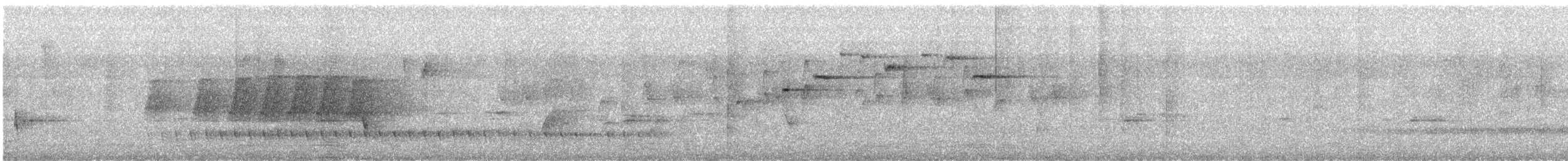 Rufous Scrub-bird - ML624114617