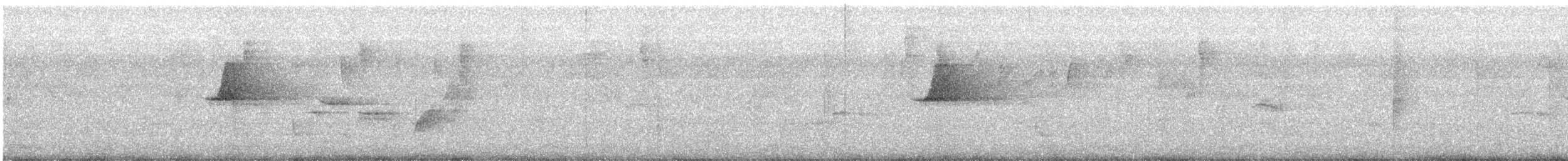 Rufous Scrub-bird - ML624114702