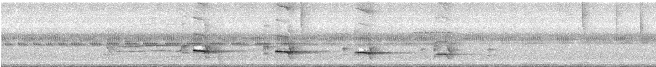 Weißkehl-Baumsteiger - ML624114893