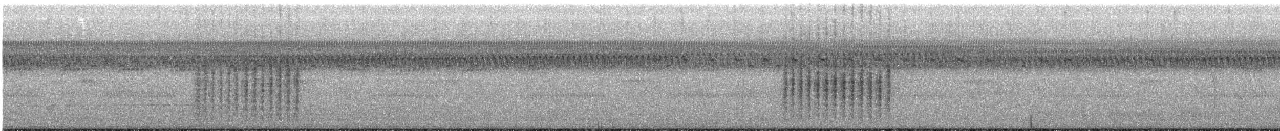 Troglodyte familier (groupe aedon) - ML624120726