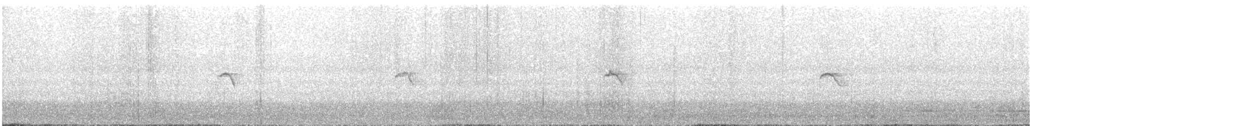 Mountain Chiffchaff (Caucasian) - ML624124924