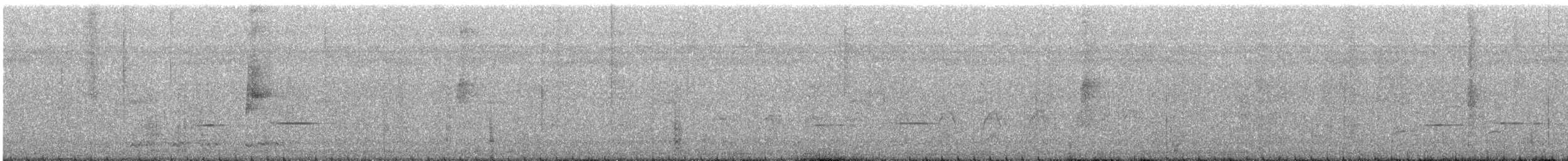 Striped Cuckoo - ML624125887
