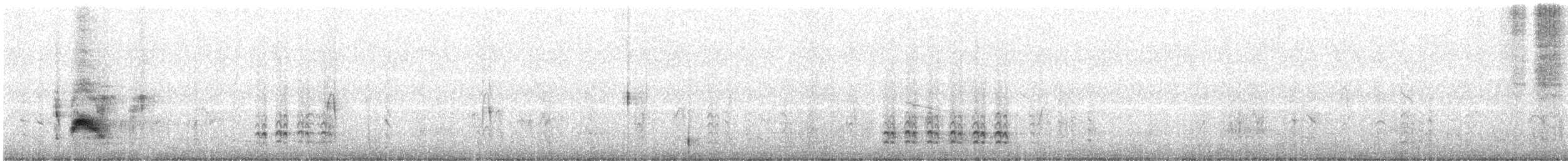 Cassin's Kingbird - ML624130329