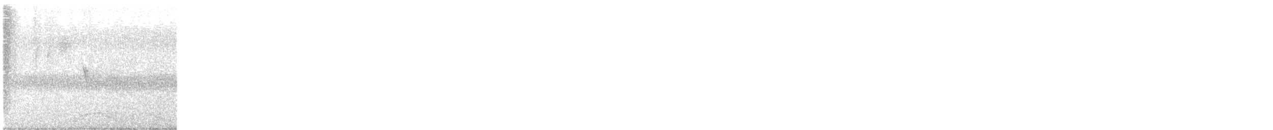 Eastern Phoebe - ML624136835