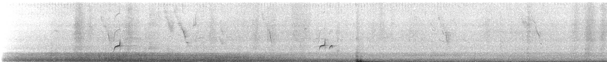 Nutting's/Salvadoran Flycatcher - ML624137269